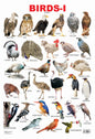 Dreamland Publications Educational Chart for Kids - Birds-1