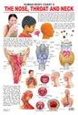 Dreamland Publications Educational Chart for Kids - The Nose, Throat & Neck