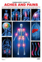 Dreamland Publications Educational Chart for Kids - The Pains