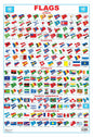 Dreamland Publications Flag Chart : Children Reference Educational Laminated Chart