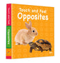 Touch and Feel Opposites - Om Books