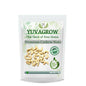 Yuvagrow Premium W-150 Cashew Nuts