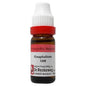 Dr. Reckeweg Gnaphalium Pol Dilution