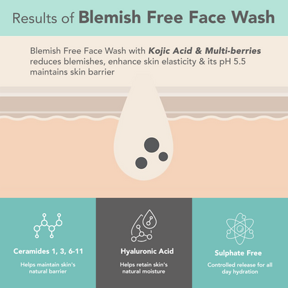 Lotus DermaBotanics Kojic acid + Multi berry Blemish - Free Facewash