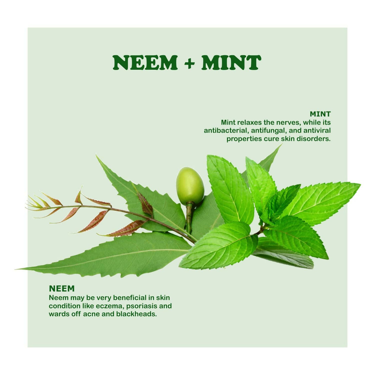 Kimayra Organic Neem + Mint Face Pack Powder For Clean & Clear Skin, Help In Reduce Pimple/Acne, Marks & Scars