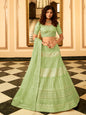 Myra Pista Green Organza Embroidered Lehenga Choli