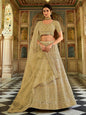 Myra Pista Organza Embroidered Lehenga Choli
