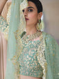 Myra Pista Net Embroidered Lehenga