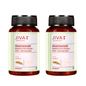 Jiva Ayurveda Shatavari Tablets