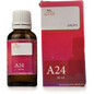 Allen Homeopathy A24 Drops