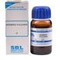 SBL Homeopathy Berberis Vulgaris Mother Tincture Q