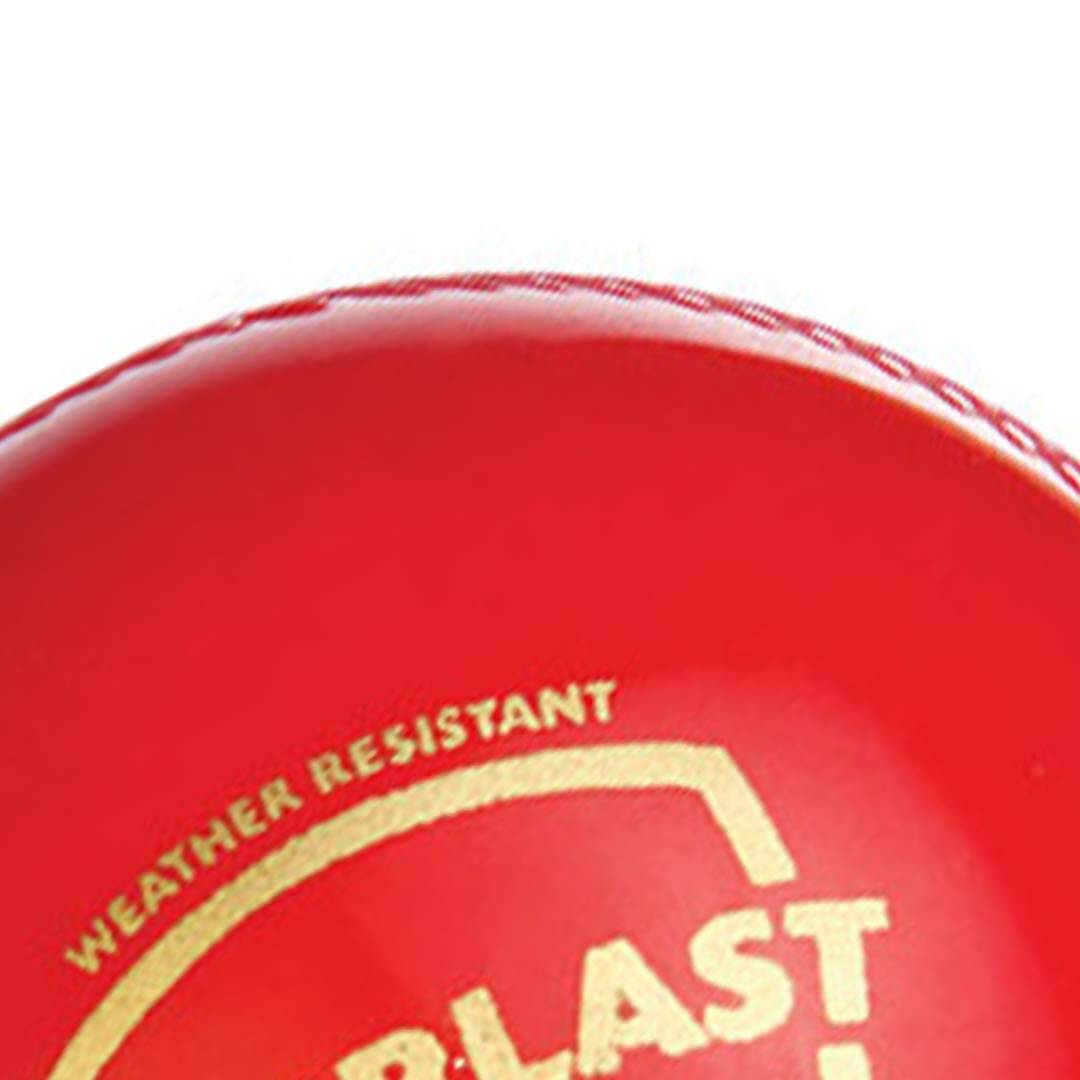 SG Everlast Leather Cricket Ball - Red