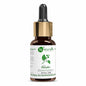 Naturalis Essence of Nature Camphor Essential Oil
