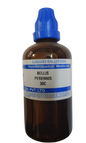 SBL Homeopathy Bellis Perennis Dilution