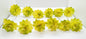 Green Flower Hair Brooches