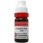 Dr. Reckeweg Caladium Seg Dilution
