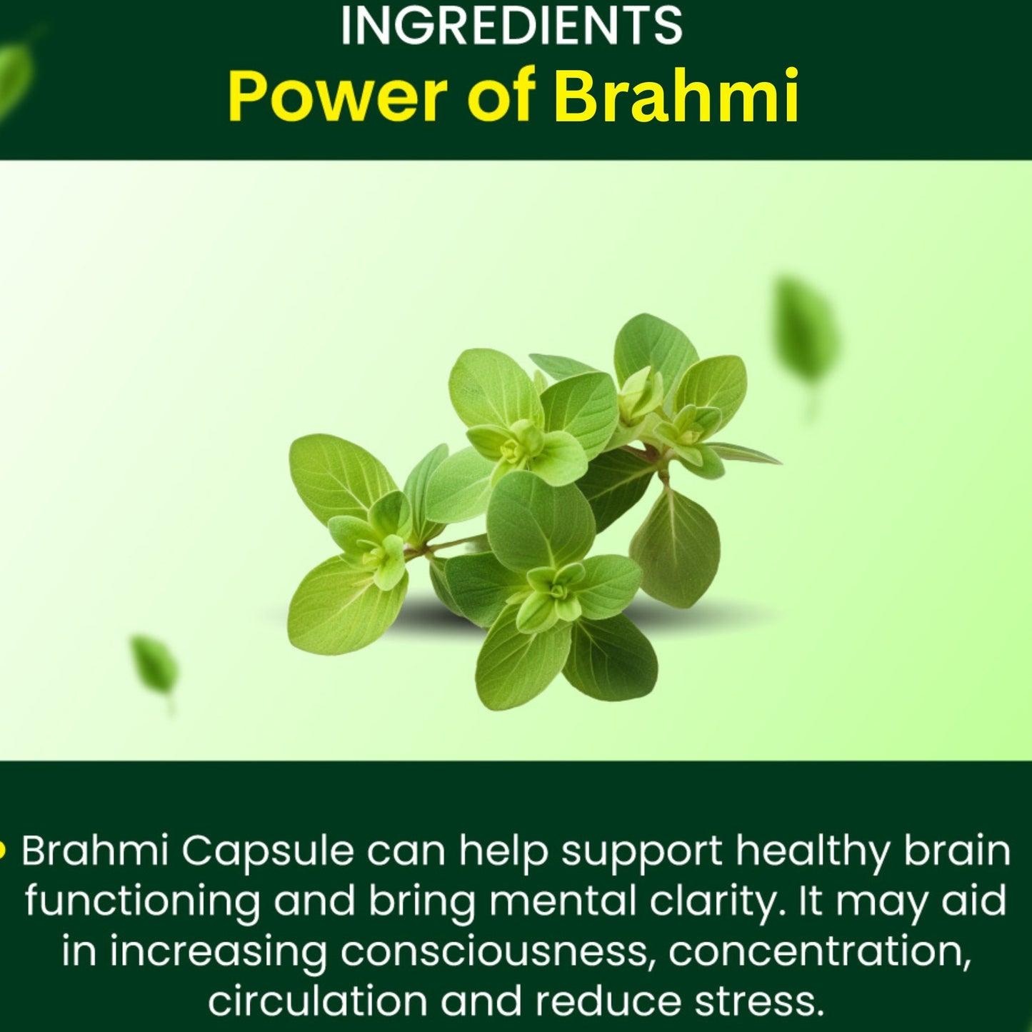 Cipzer Brahmi Capsules