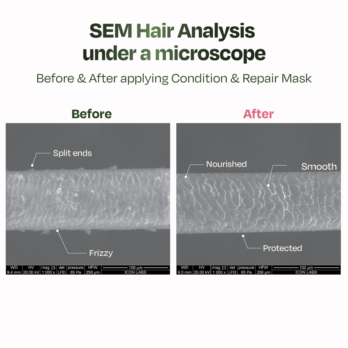 Sacred Grove Marshmallow Root Condition & Repair Hair Mask