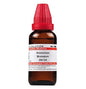 Dr. Willmar Schwabe India Ammonium Bromatum Dilution