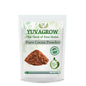 Yuvagrow Pure Cocoa Powder