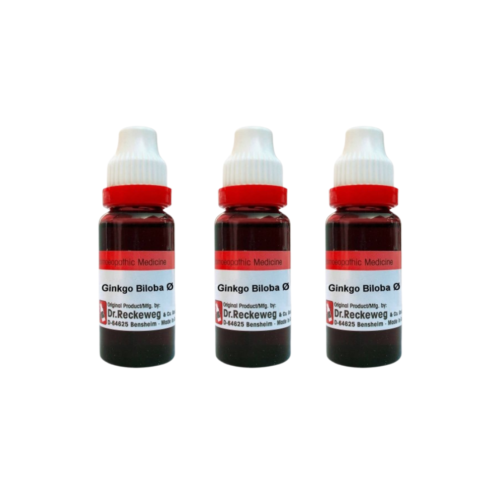 Dr. Reckeweg Ginkgo Biloba Mother Tincture Q