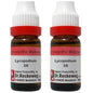 Dr. Reckeweg Lycopodium Dilution