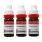 Dr. Reckeweg Lycopodium Dilution