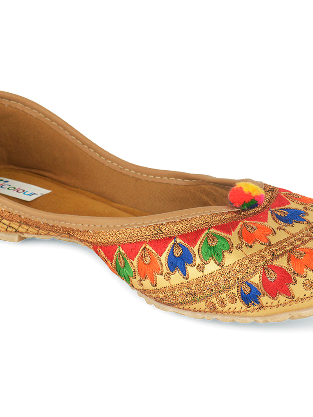 Desi Colour Women Indian Ethnic Footwear-Colour Wave