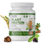 Inlife Plant Protein Powder Coffee