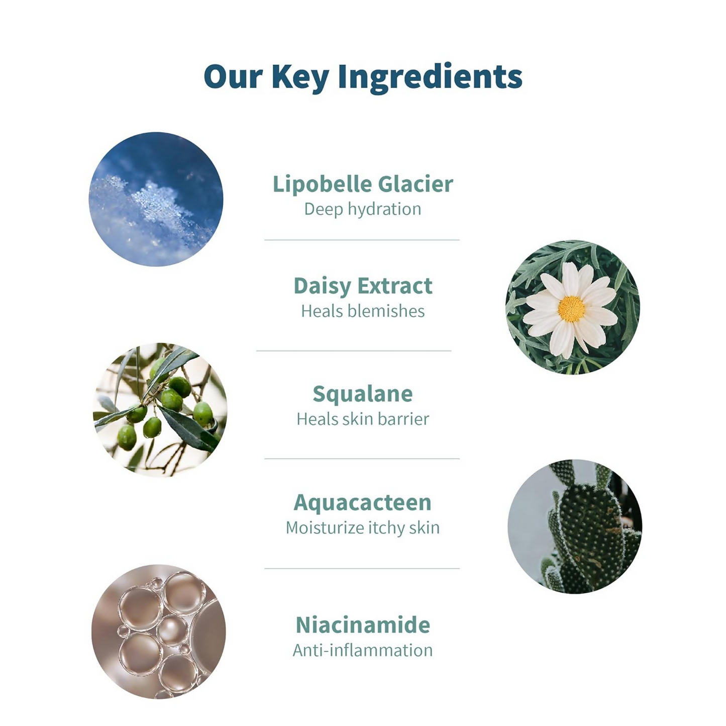 Meola Swiss Glacier Face Serum