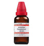 Dr. Willmar Schwabe India Ammonium Phosphoricum Dilution