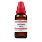 Dr. Willmar Schwabe India Carica Papaya Dilution