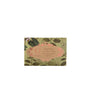 Ohria Ayurveda Green Tea And Cinnamon Bathing Bar