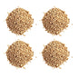 Hebsur Herbals Barley Seeds