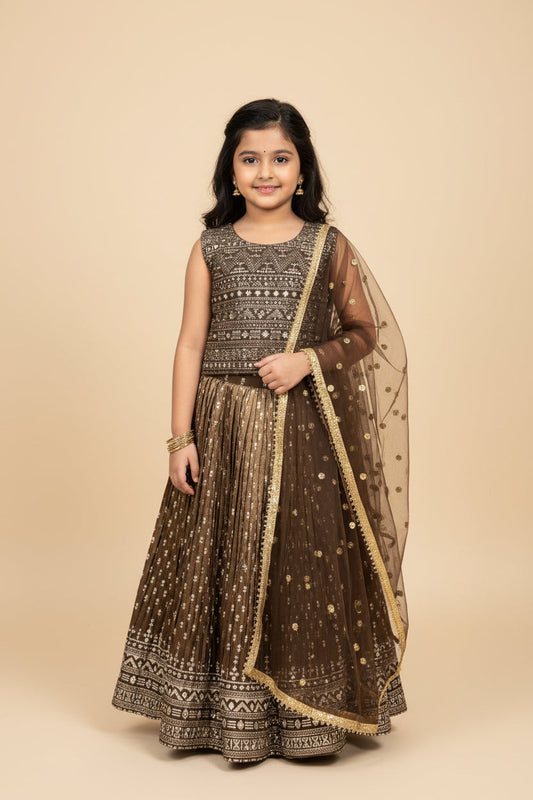 Lehenga Choli set for Girls