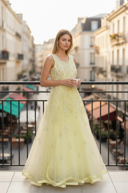 Party wear long gown