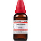 Dr. Willmar Schwabe India Carbo Animalis Dilution