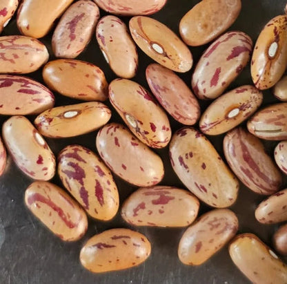 Hetha Himalayan Chitkabra Rajma