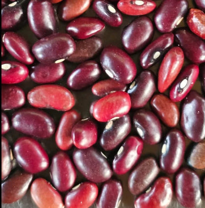 Hetha Himalayan Red Rajma