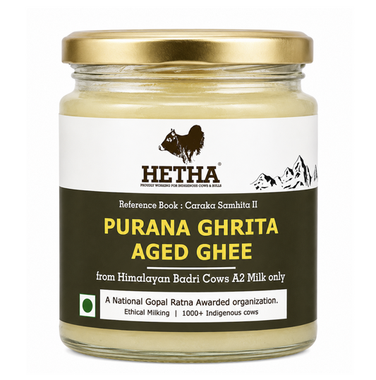 Hetha Purana Ghrita Aged Ghee From Himalayan Badri Cows A2 Milk