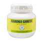 Pentacare Ayurveda Ashoka Ghrita