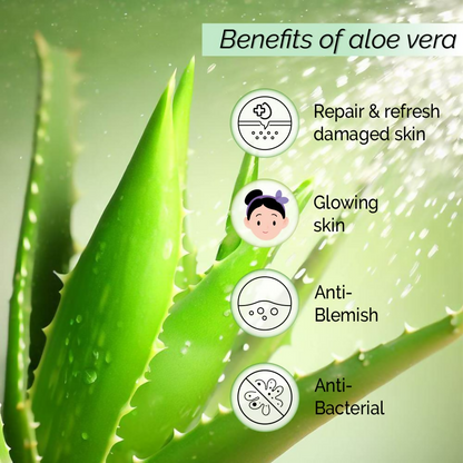 Pyoura Aloe Vera Hydrating No Gel Face Toner Mist