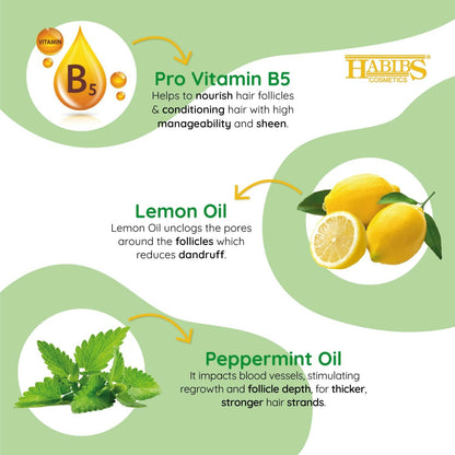 Habibs Professional Oil Control Shampoo For Oily Hair And Scalp Anti Dandruff With Natural Lemon & Mint Oil