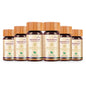 Biogetica Reginmune (Micro Nutrients- Immune Support)