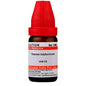 Dr. Willmar Schwabe India Natrum Sulphuricum Dilution