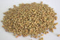Freshon Natural Madike Kalu