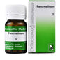 Dr. Reckeweg Pancreatinum Trituration Tablets
