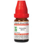 Dr. Willmar Schwabe India Colocynthis Dilution
