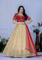 Lehenga Mart Designer Wedding Lehenga choli for Women - red