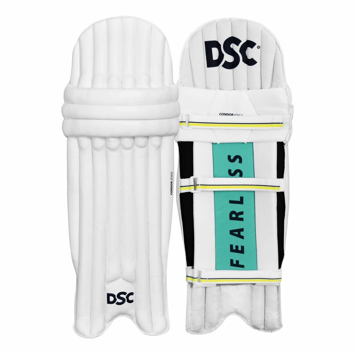 DSC Economy Kashmir Willow Cricket Kit (Size 5)